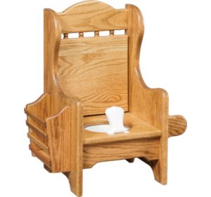 Potty Chair 