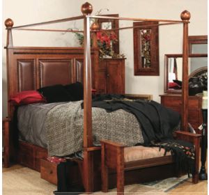 Pittsburg Canopy Bed w/ Storage Rail